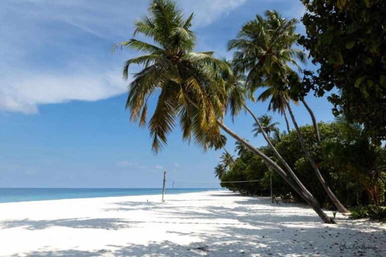 Manta Reserve Maldives